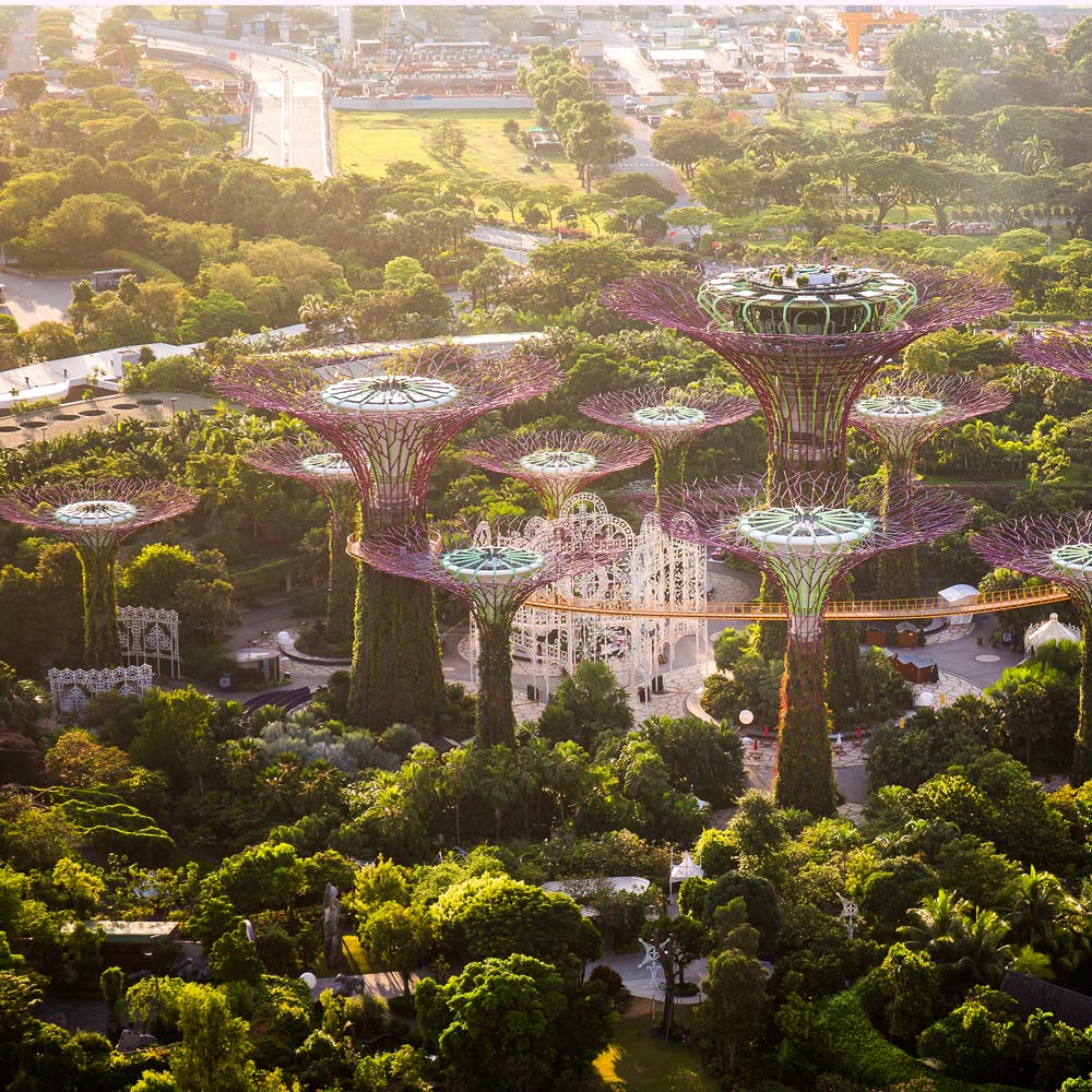 Sustainable Cities: Singapore