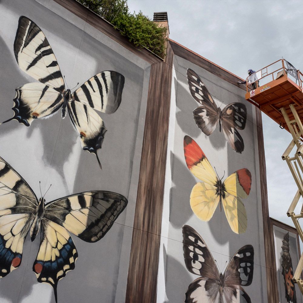Street Art Schmetterlinge
