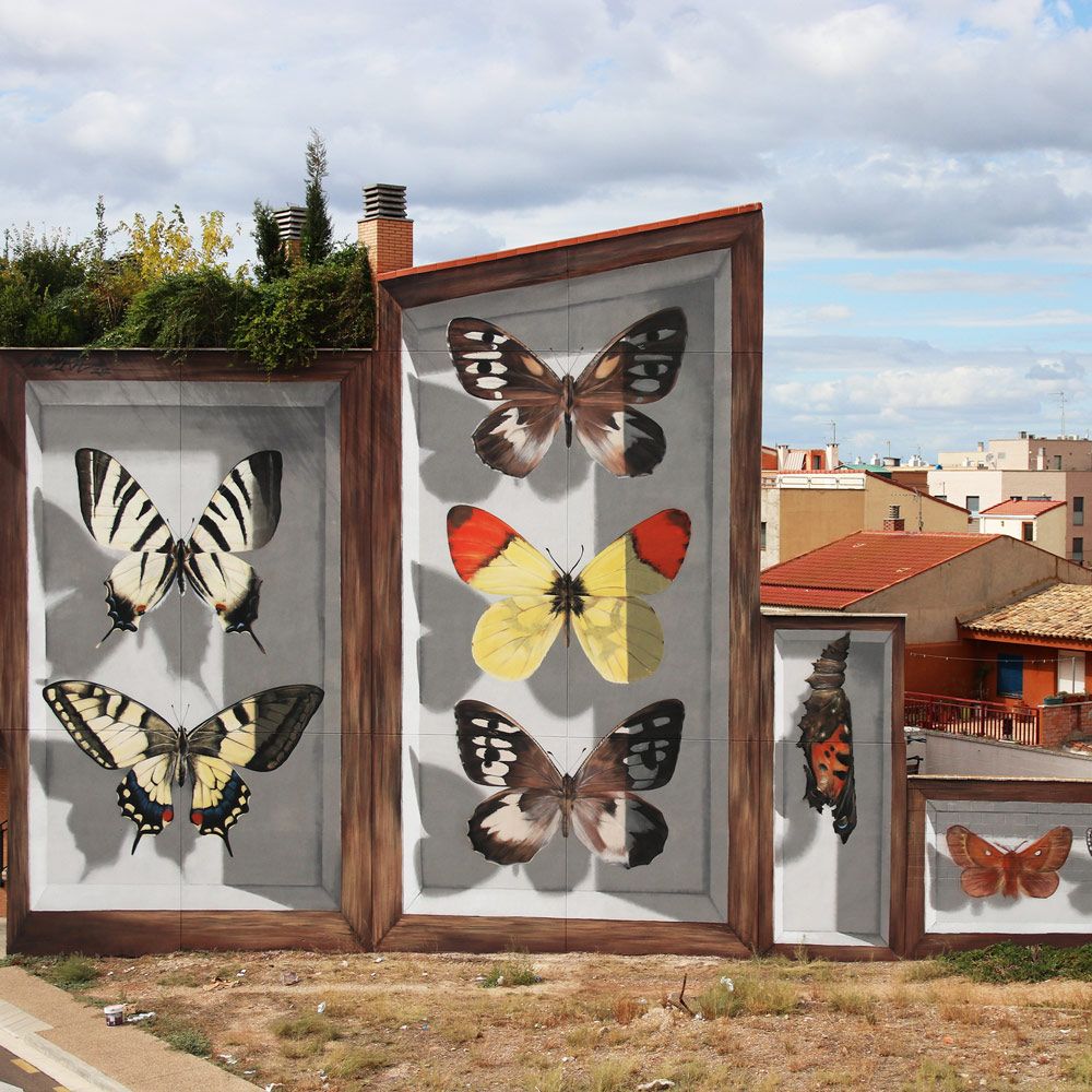 Street Art Schmetterlinge