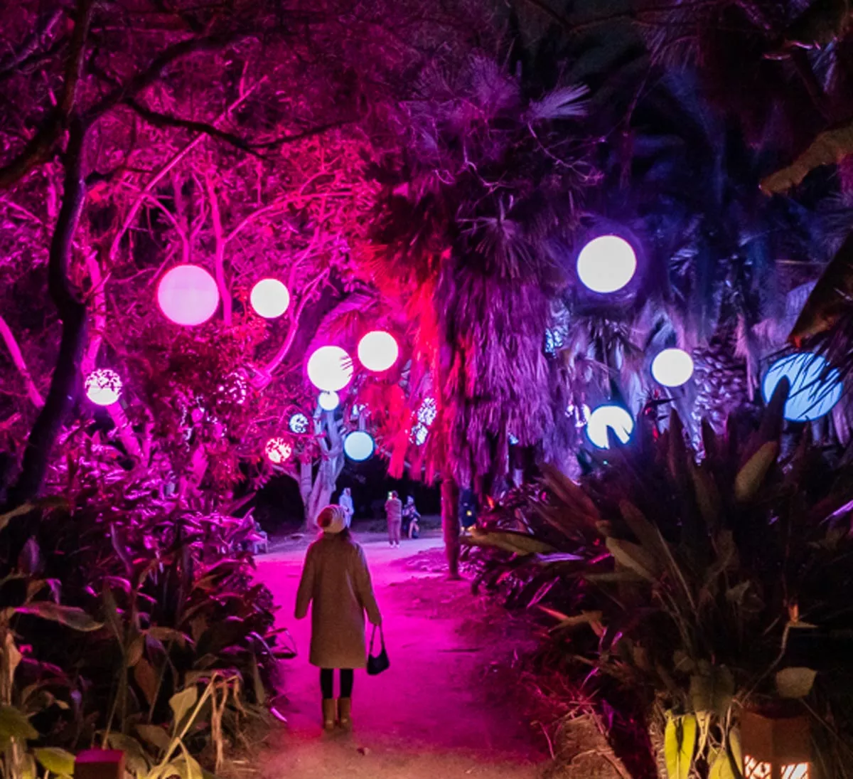 Astra Lumina – leuchtende Bälle hängen in Bäumen