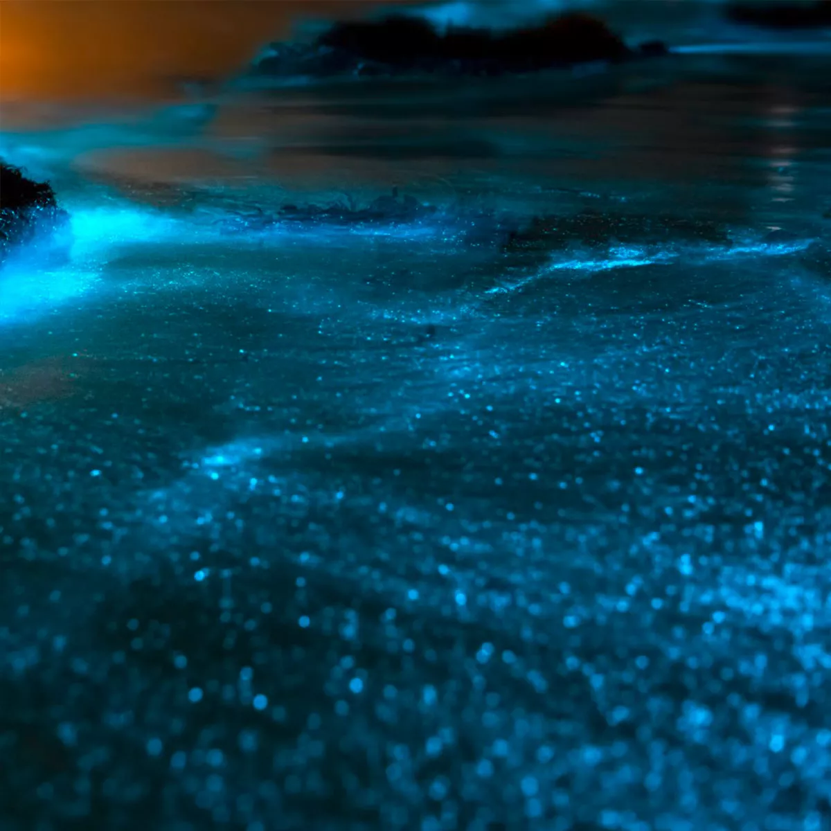 Biolumineszenz im Meer vor Jervis Bay.