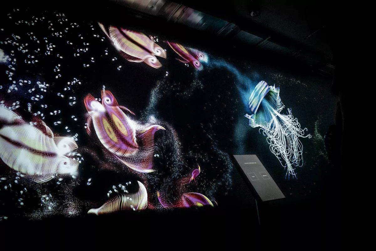 Aquatics von Philipp Artus, Licht-Gemälde beim Bright Festival: eine generative Unterwasserwelt, in der virtuelle Meereskreaturen miteinander interagieren