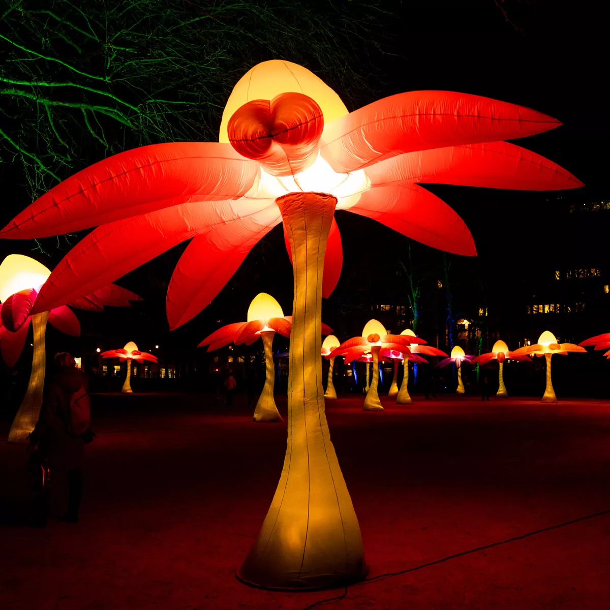 Leuchtende Blume Kunstinstallation beim Bright Festival