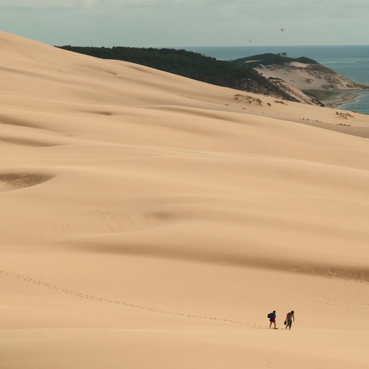 Naturwunder: Die Dune du Pilat in Frankreich.