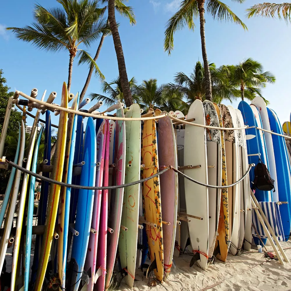 Surfboards in nachhaltigen Surfcamps.