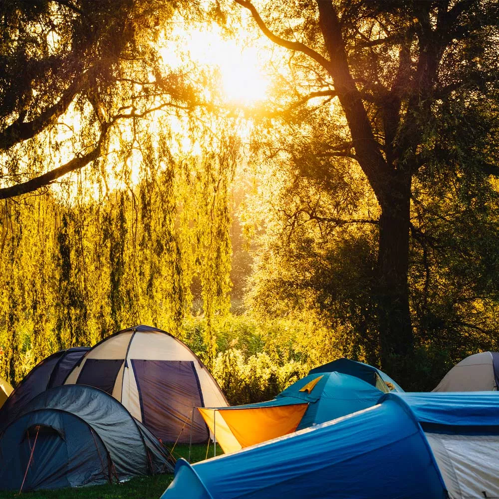 Festival-Camping.