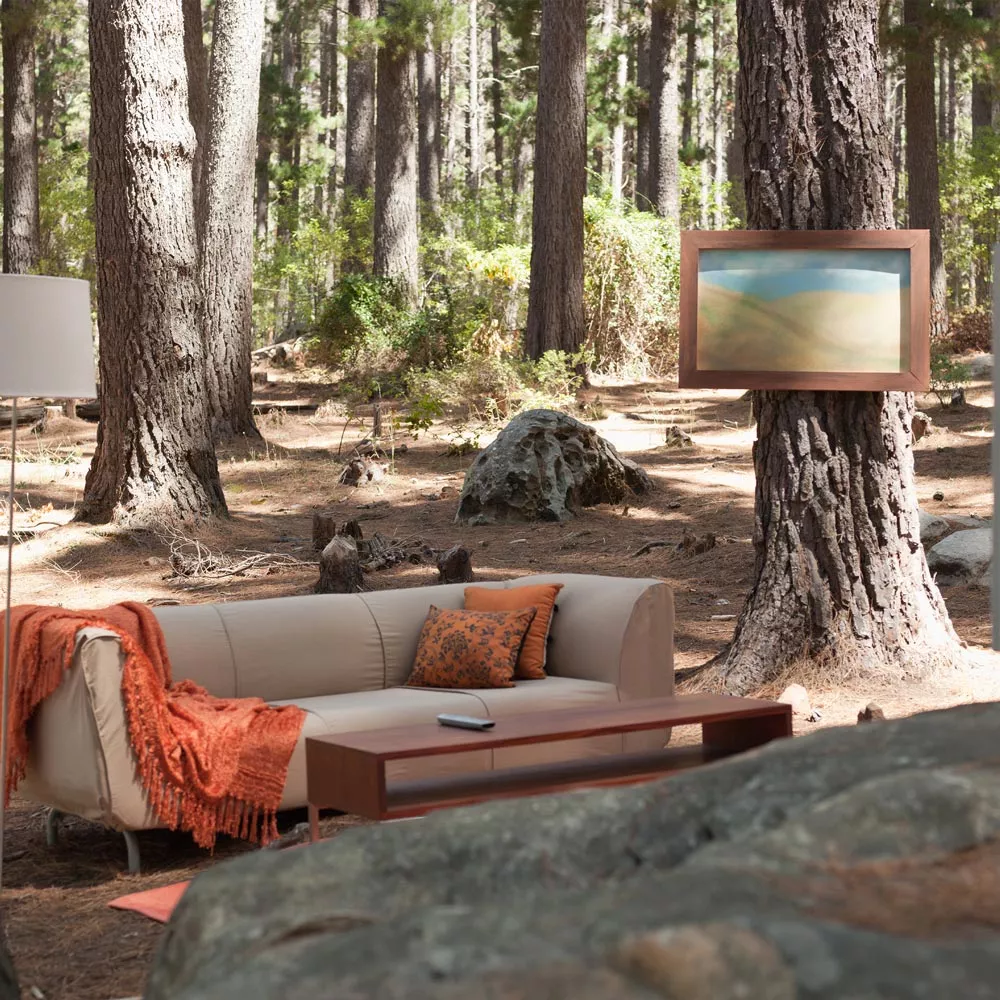 Lagom: Ein Sofa, ein Tisch und eine Stehlampe stehen zwischen Bäumen im Wald.