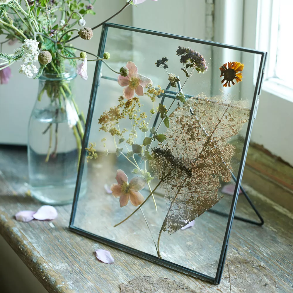 Trockenblumen sind dekorativ in einem Bilderrahmen angeordnet.