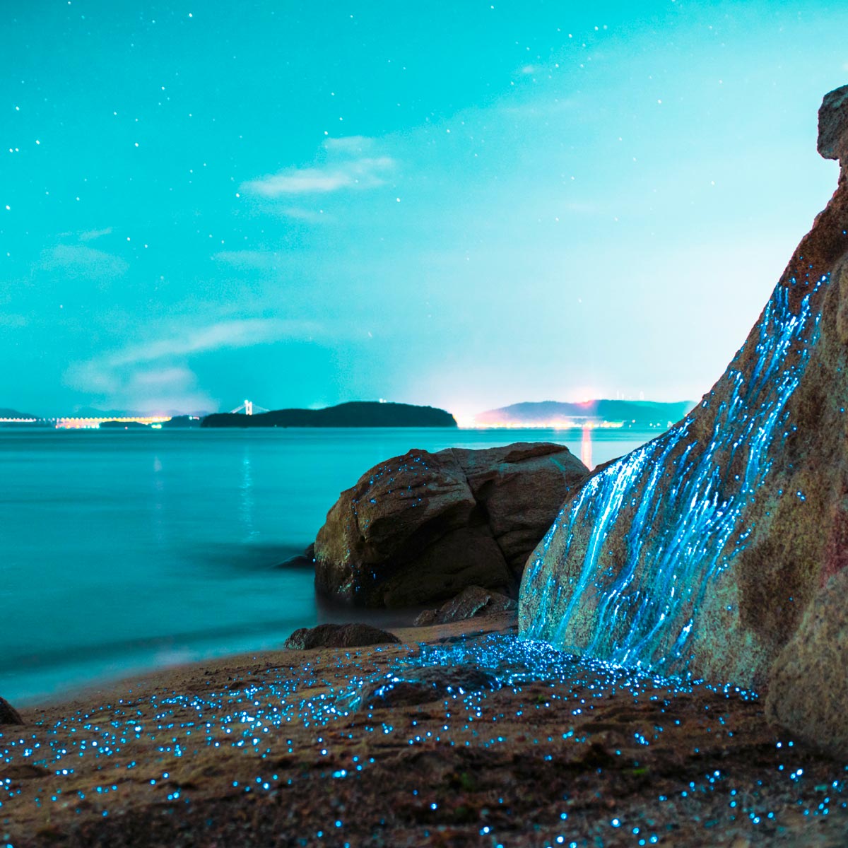 Biolumineszenz: 7 Orte, an denen du das glitzernde Meer siehst