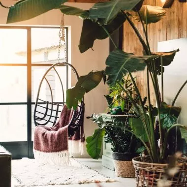 Emotional Escape Rooms: Raum mit Pflanzen und Hängesessel