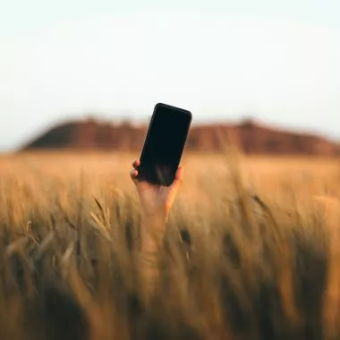 Eine Person streckt ein Smartphone aus einem Weizenfeld heraus.