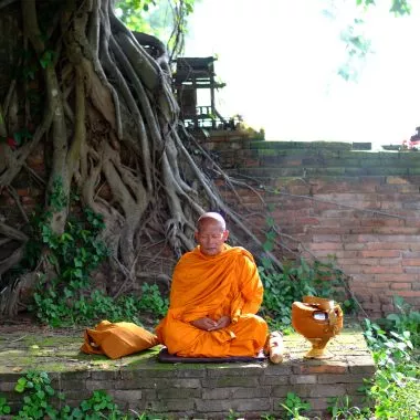 Ein Mönch sitzt vor einem Baum und meditiert.